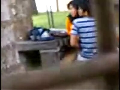 Indian College Students Shagging in public park Voyeur Recorded by people